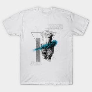 Greek Statue Torso T-Shirt